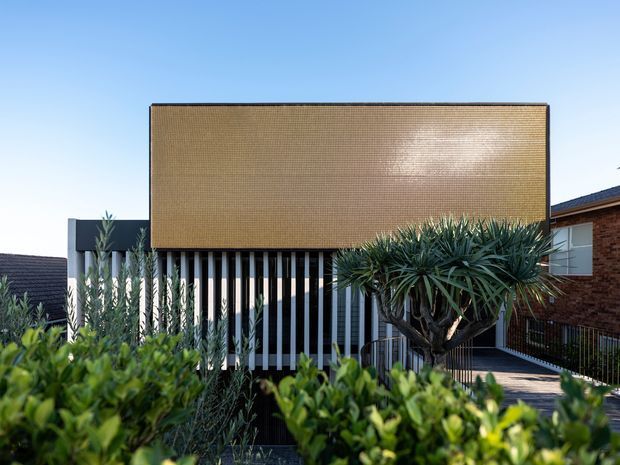 Street-facing exterior view of a contemporary multi-level residence. The facade combines a large warm brown textured upper screen or cladding panel with strong vertical white fins over dark glazing, framed by structured landscaping and sculptural drought-tolerant planting. A neighbouring brick building is visible at the right.