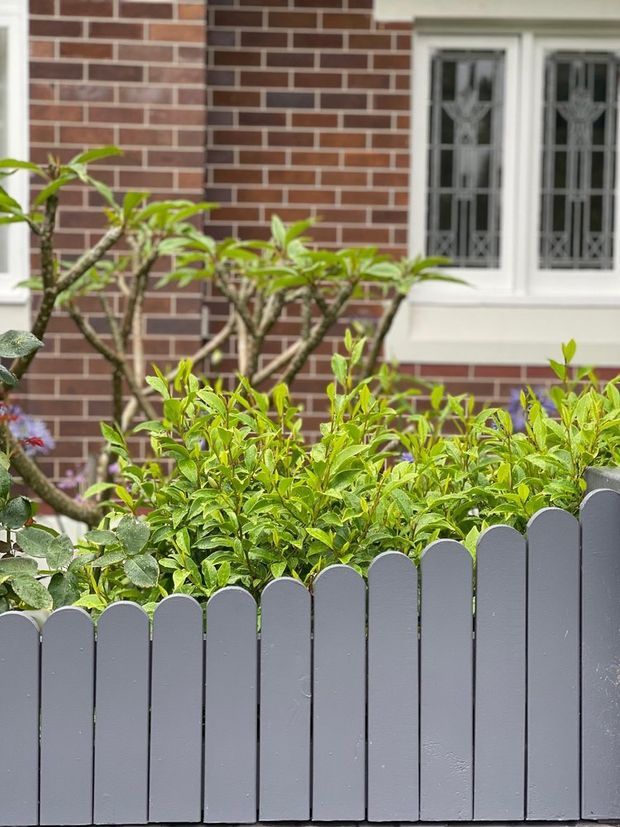 Close-up exterior view of a residential facade featuring red-brown brickwork, white-trimmed decorative windows, lush shrubs and a small tree behind a painted grey picket fence. The image focuses on the front garden boundary and traditional architectural detailing.