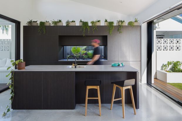 Contemporary kitchen featuring a large dark fixed island and full-height cabinetry, a pale stone-look benchtop, integrated cooktop and sink, and a central window-like opening above the rear counter. Two timber-and-black stools sit at the island. Indoor plants line the top of the cabinetry, while extensive glazing opens toward a bright exterior courtyard.