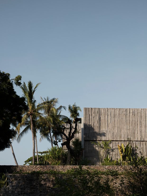 Exterior view of a tropical building partially concealed by palms and dense planting. The structure has a simple rectangular form with a strongly textured vertical timber or wood-like facade, set behind a low dark stone masonry wall. Warm low-angle sunlight creates pronounced shadows across the facade and landscaping.