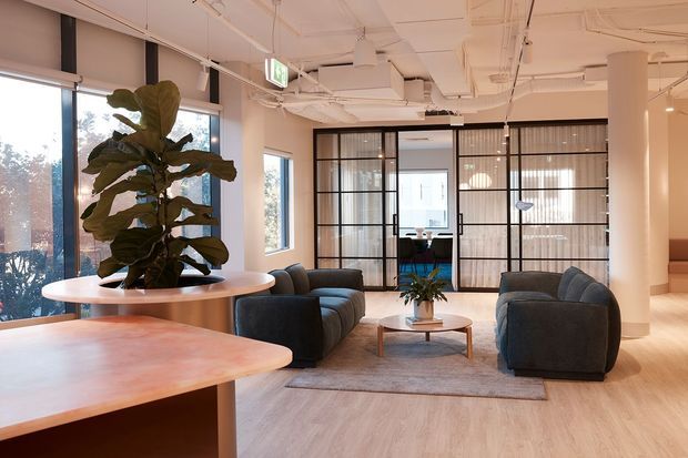 A bright contemporary office lounge with two dark upholstered sofas arranged around a round coffee table and rug. Large windows, indoor plants, light timber-look flooring, exposed white ceiling services, and black-framed glazed meeting-room partitions create an open, modern commercial interior.