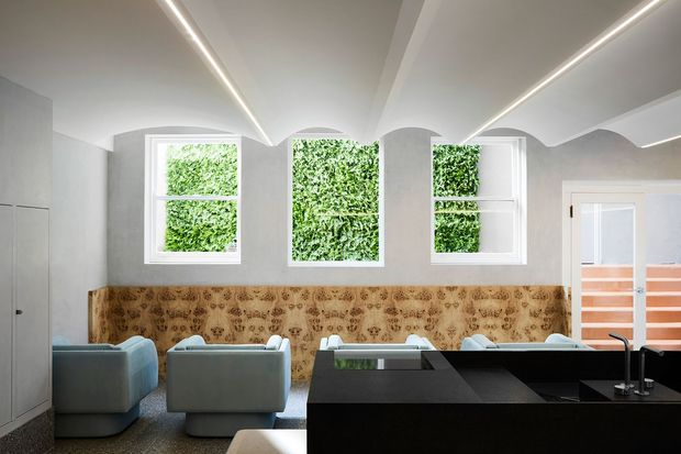 A bright contemporary interior with a black kitchen or bar island in the foreground, pale upholstered lounge chairs, and a long patterned feature wall beneath three windows filled with greenery. The ceiling has sculptural curved recesses and linear integrated lighting, while a glazed door with horizontal timber screening is visible at right.