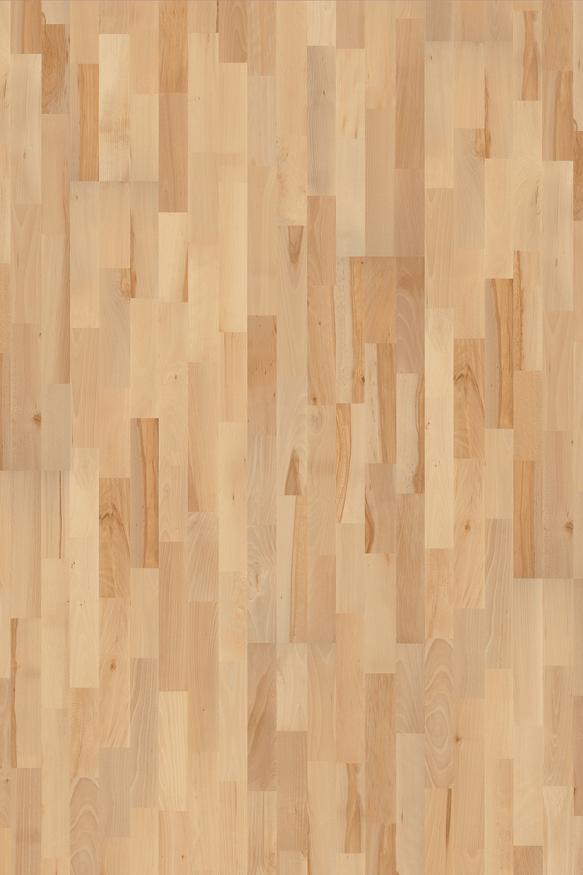Beech Viborg Wood Flooring