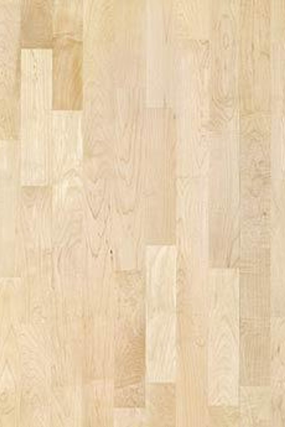 Maple Toronto Wood Flooring