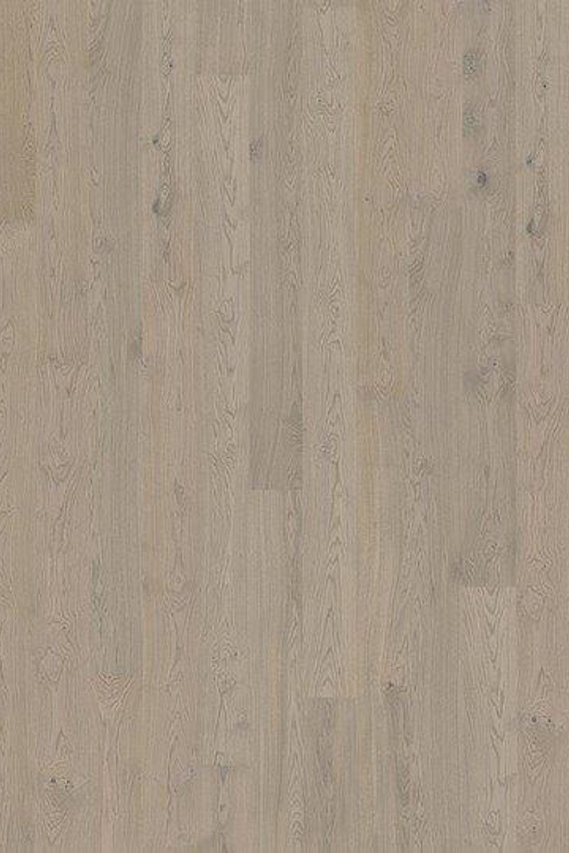 Oak Shore Wood Flooring