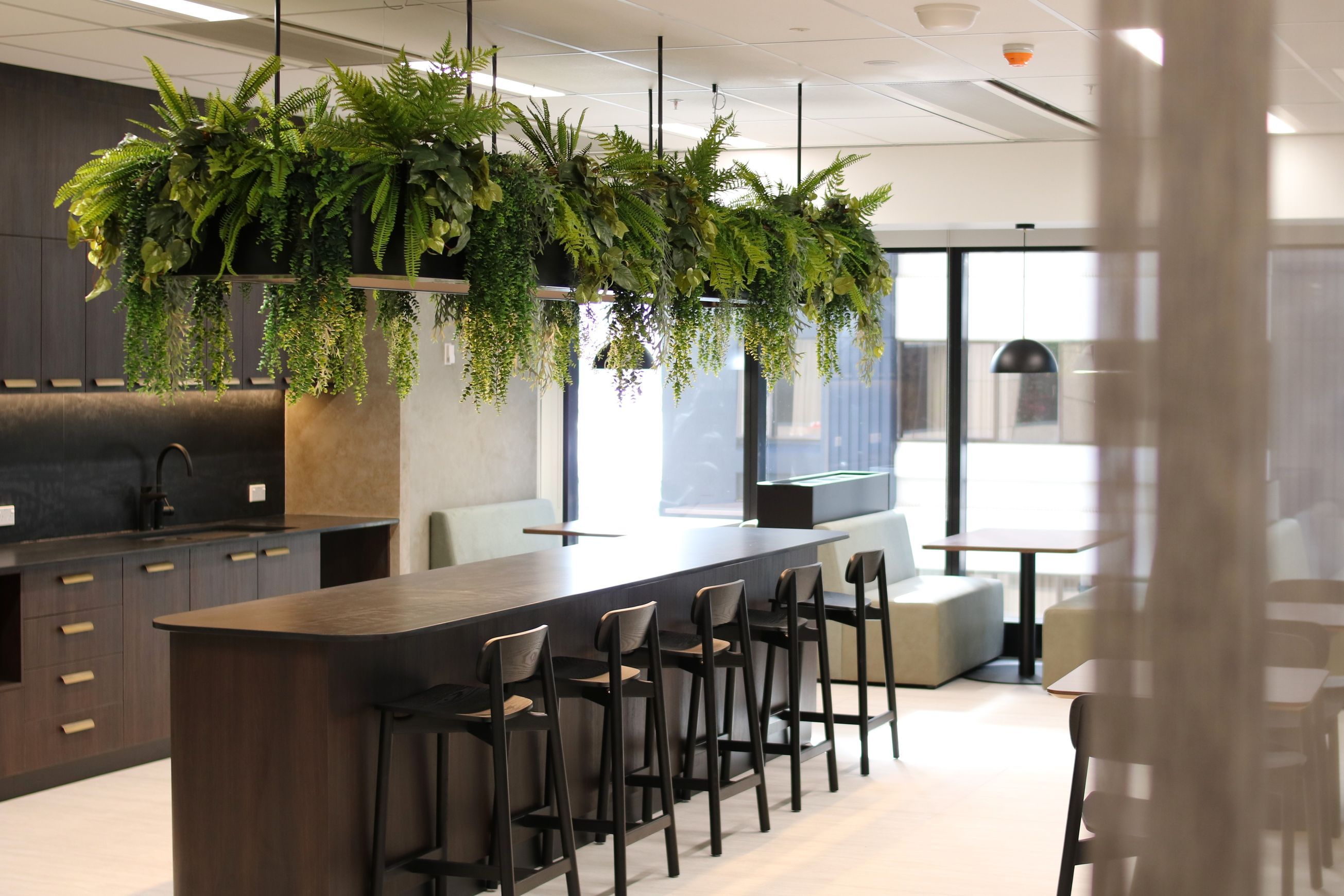 Artificial Plant Solutions | Hire Plants