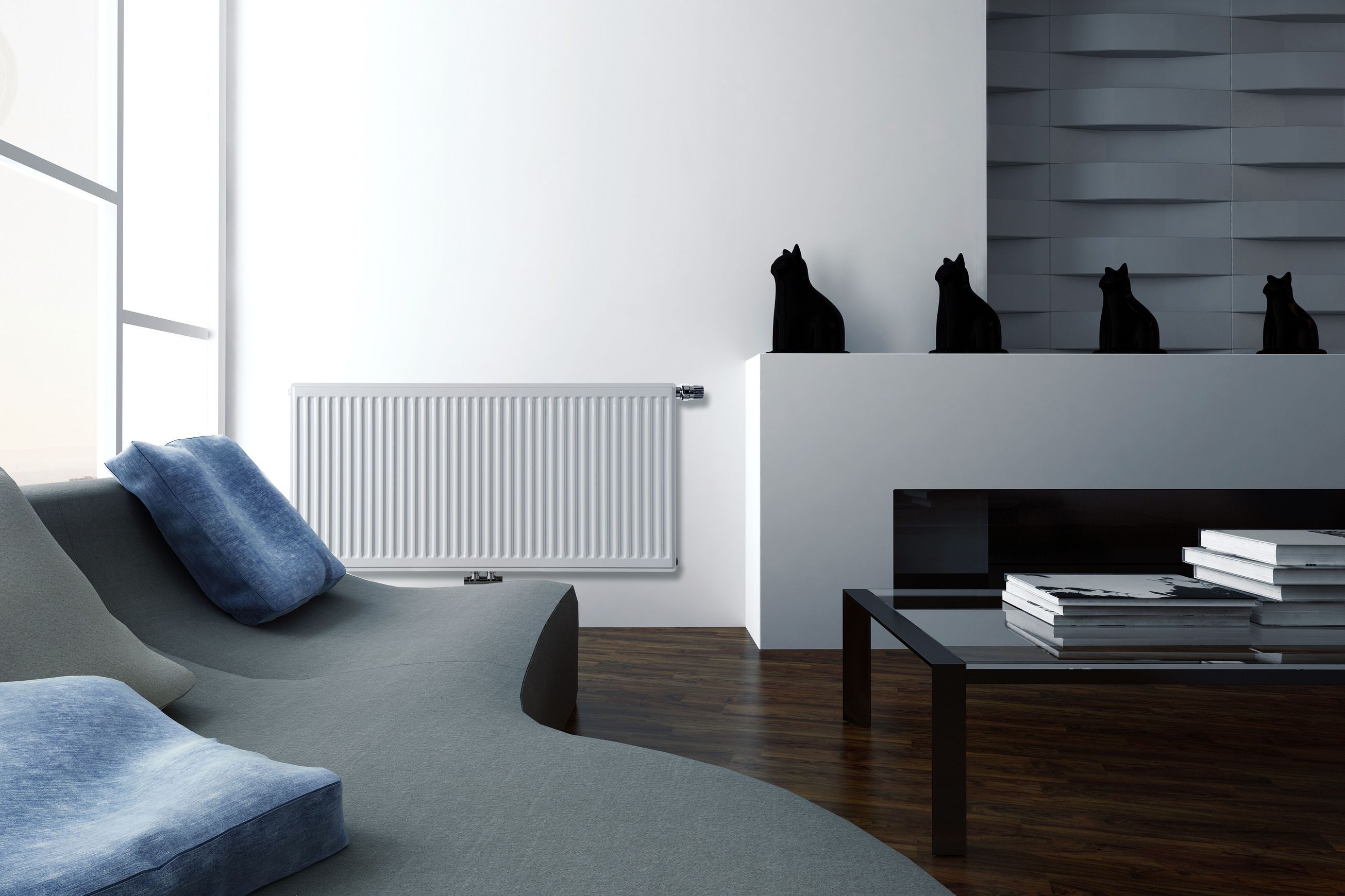 Radiator Central Heating System