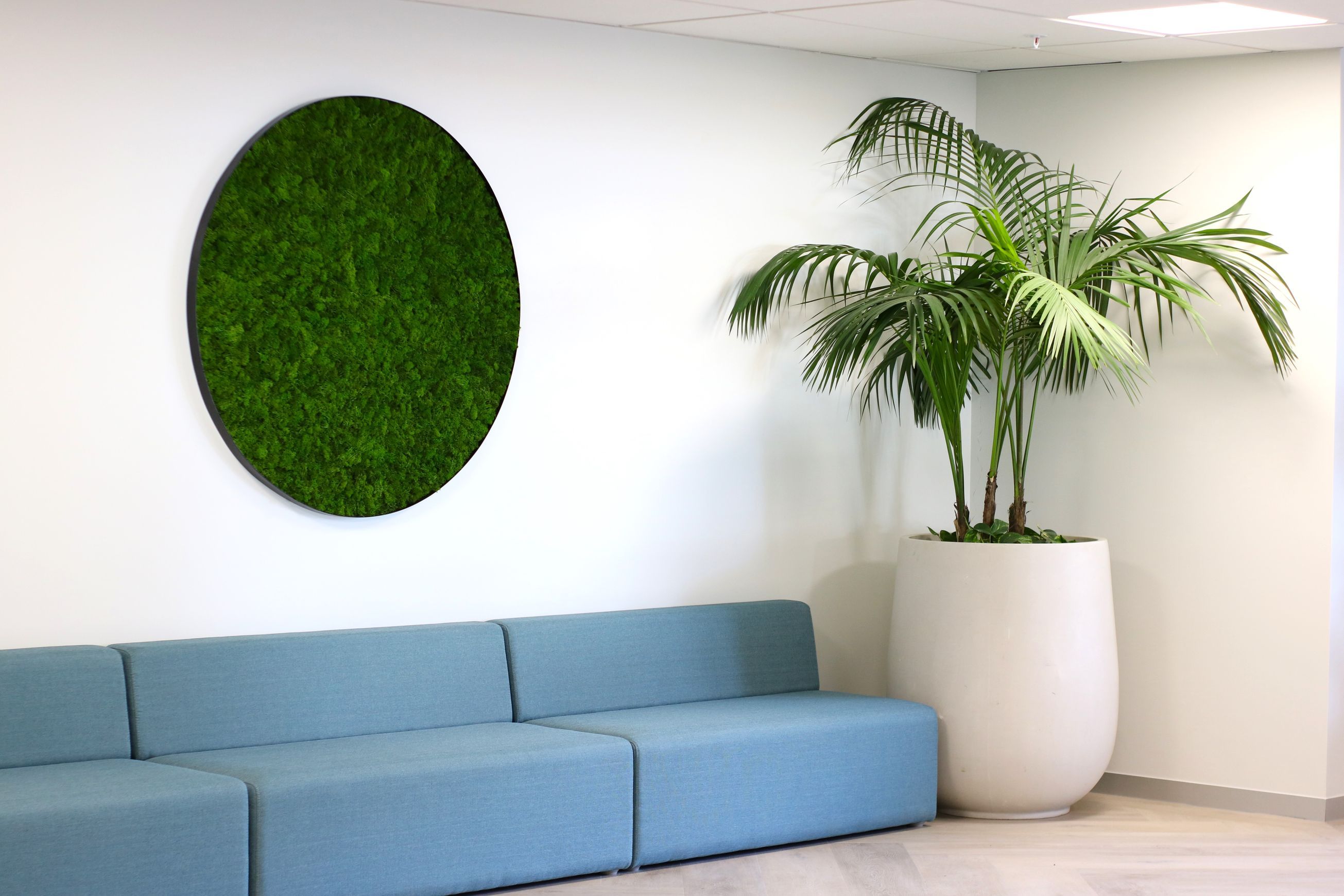 Reindeer Moss Panels | Hire Plants