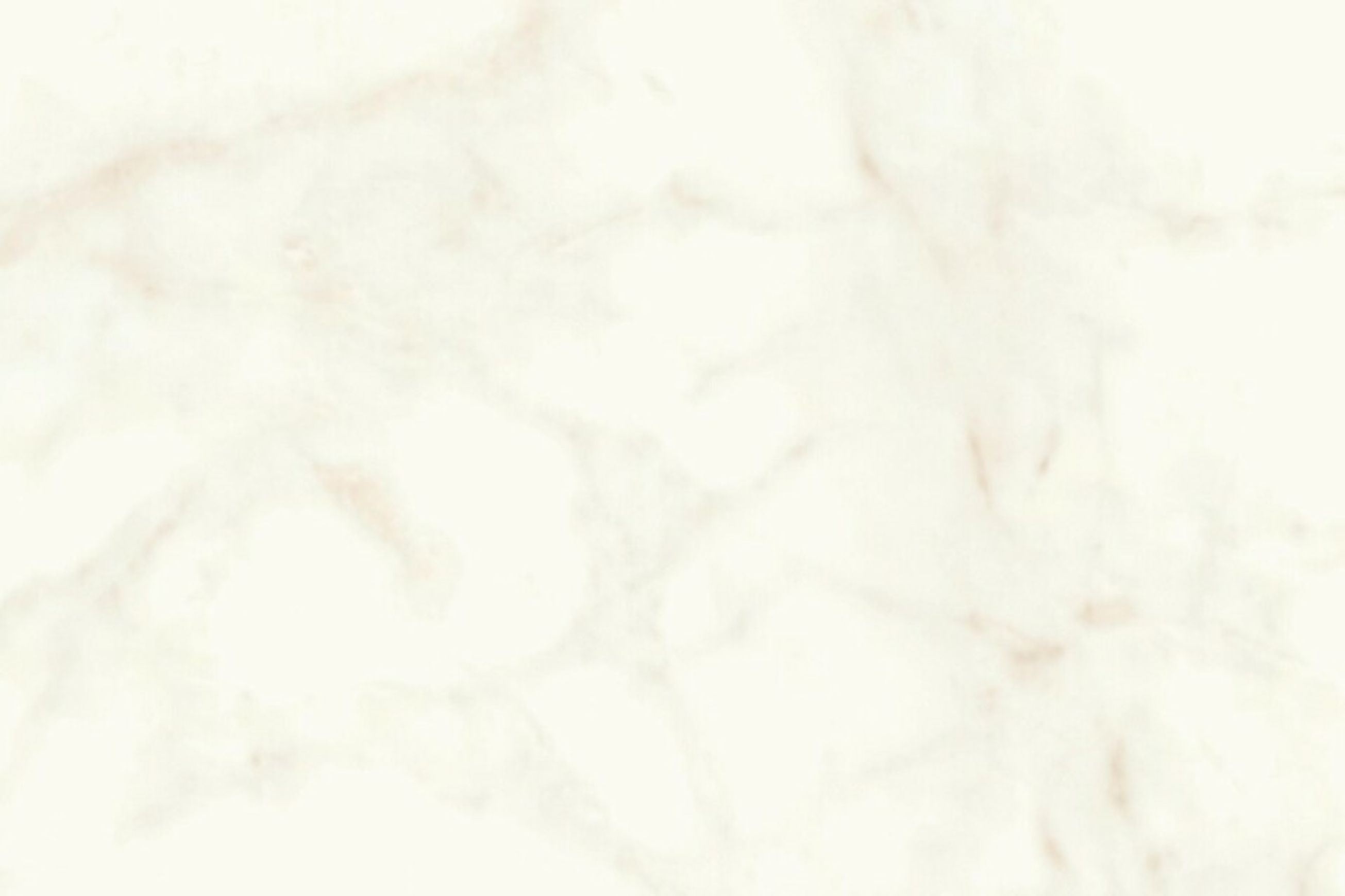 Calacatta Delicato Polish | Tile Space