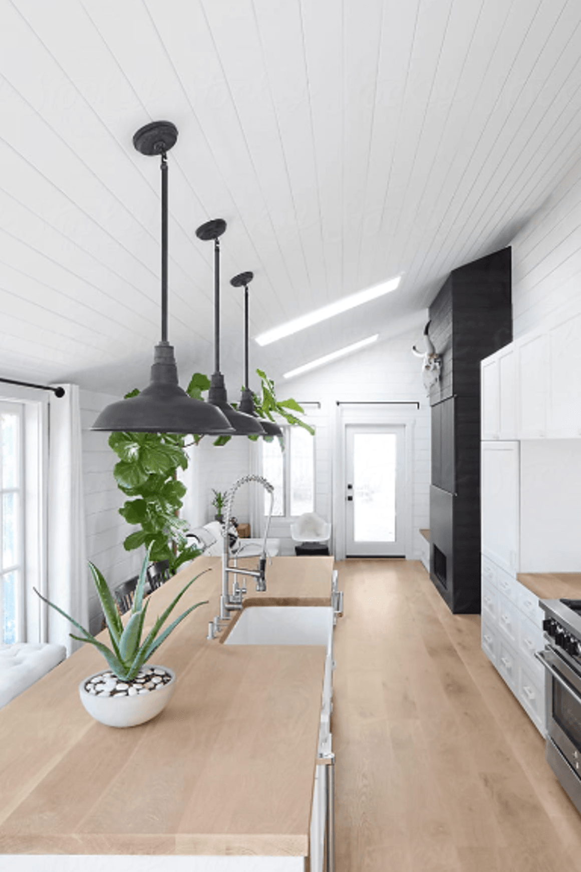 Ceiling Paint | Matt 