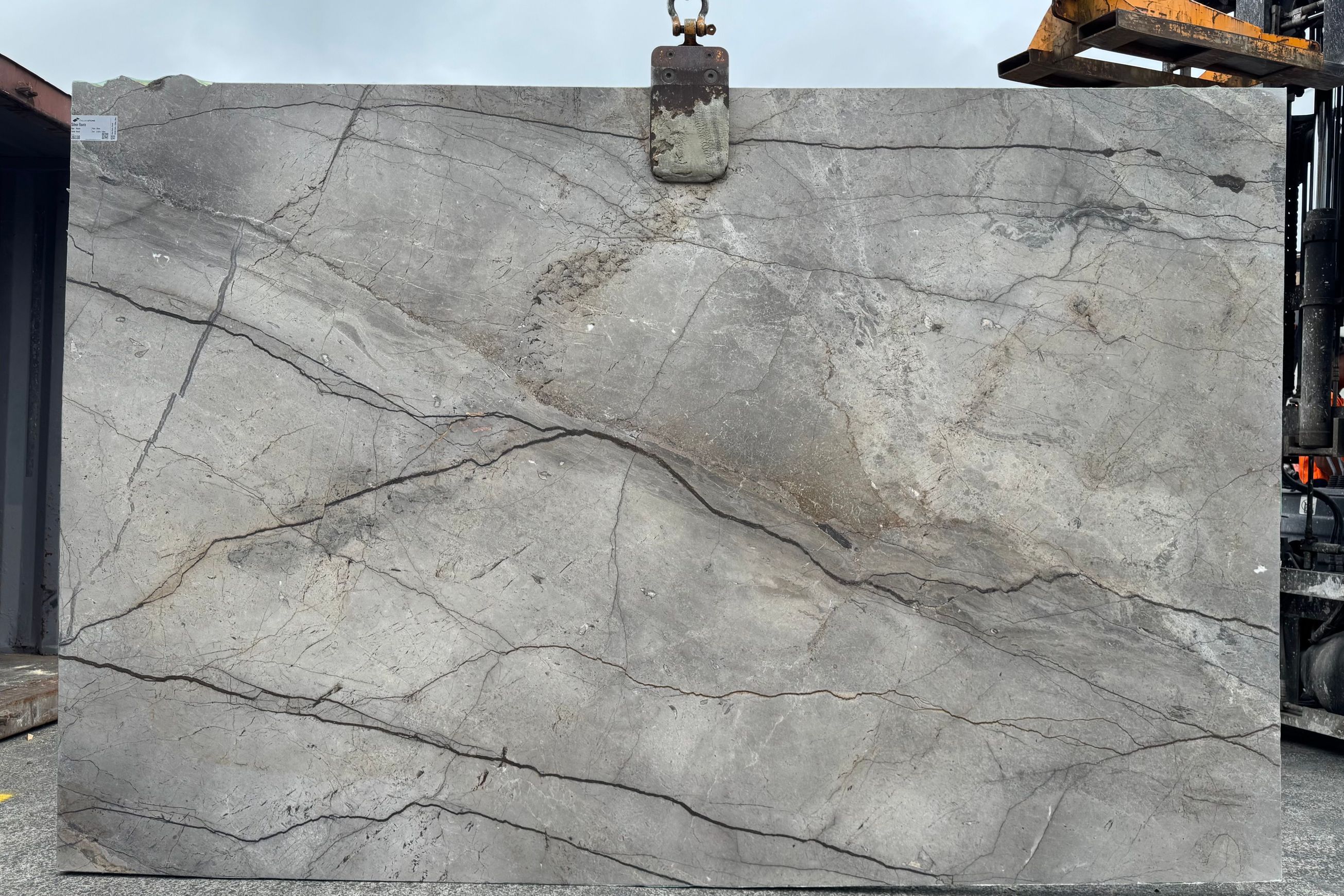 Silver Roots | Marble