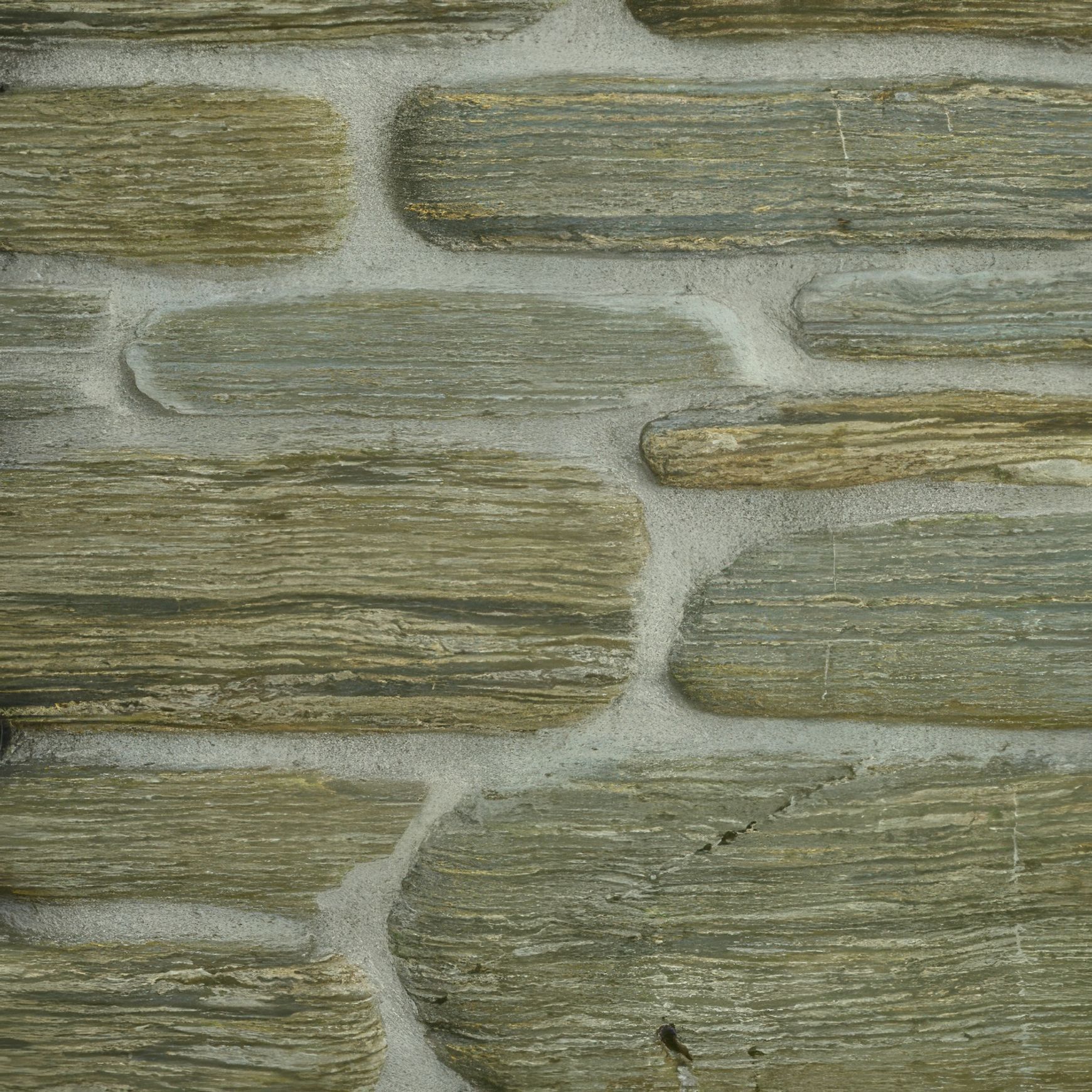 Riverine Schist