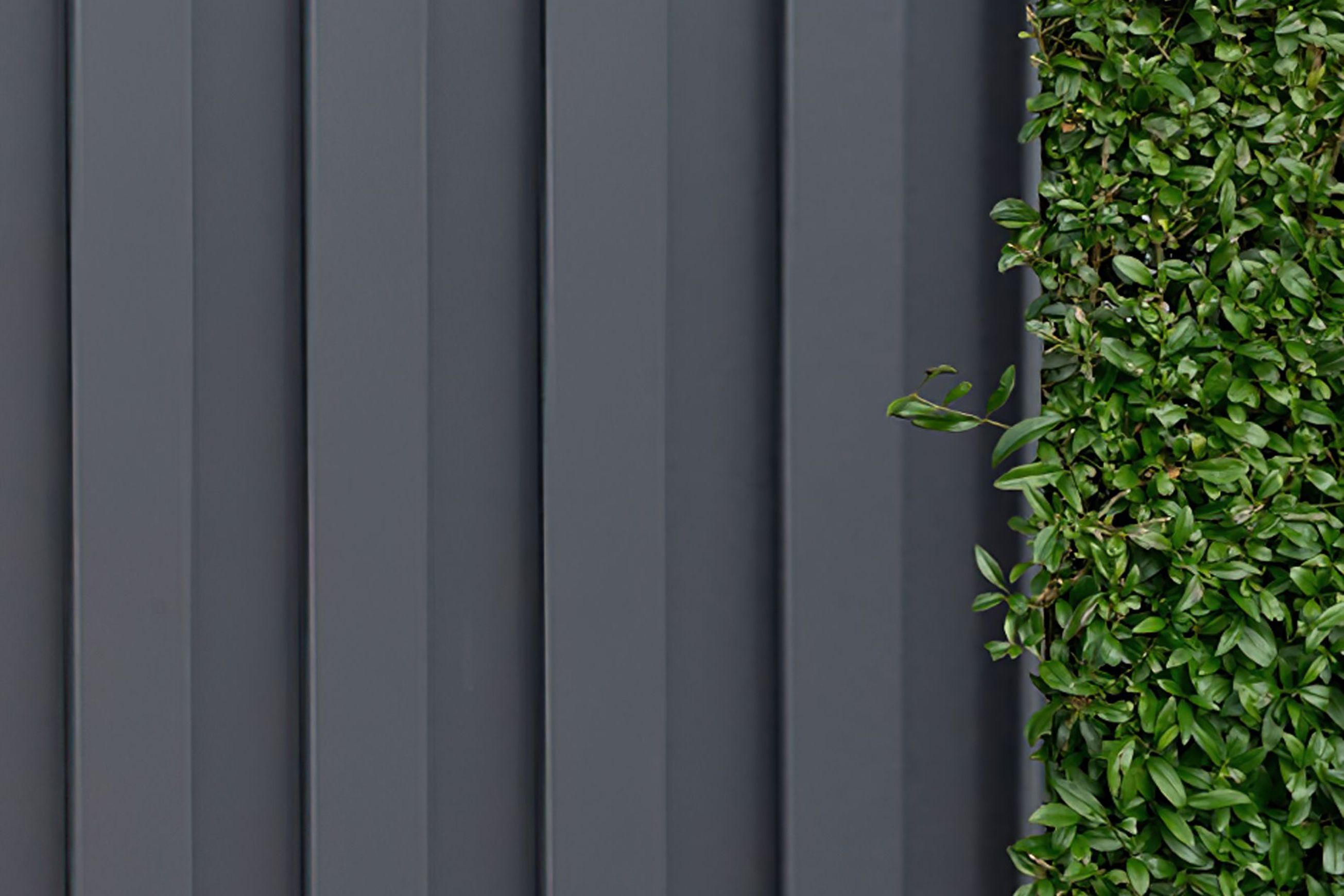 Atlas® | Colorbond® Steel Fencing