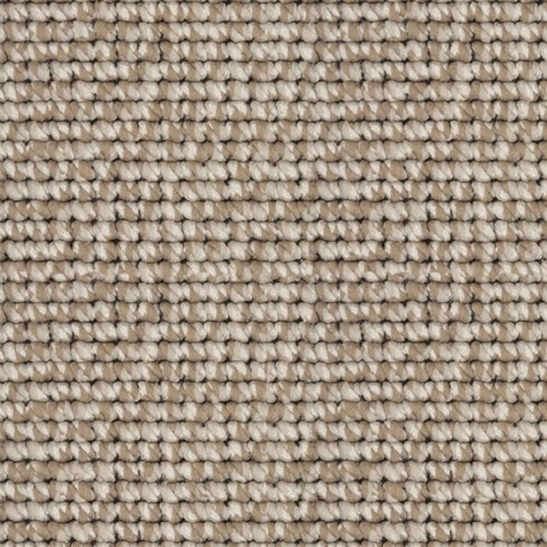 2404