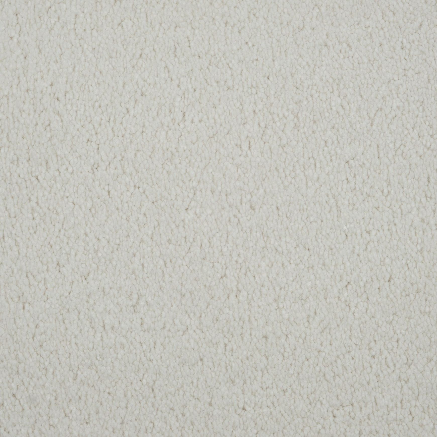 Evoke 2616