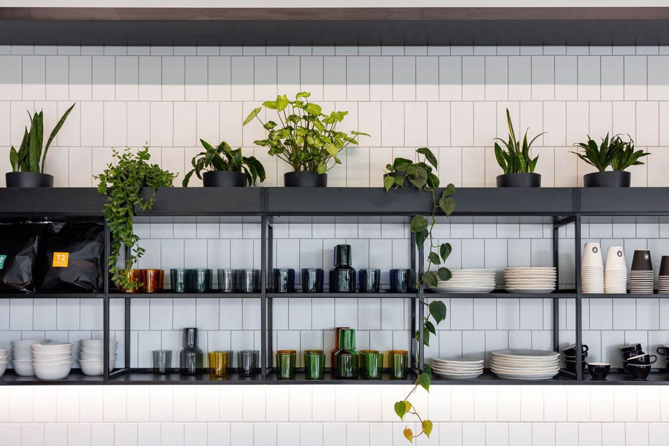 Mixed Foliage Displays | GreenAir