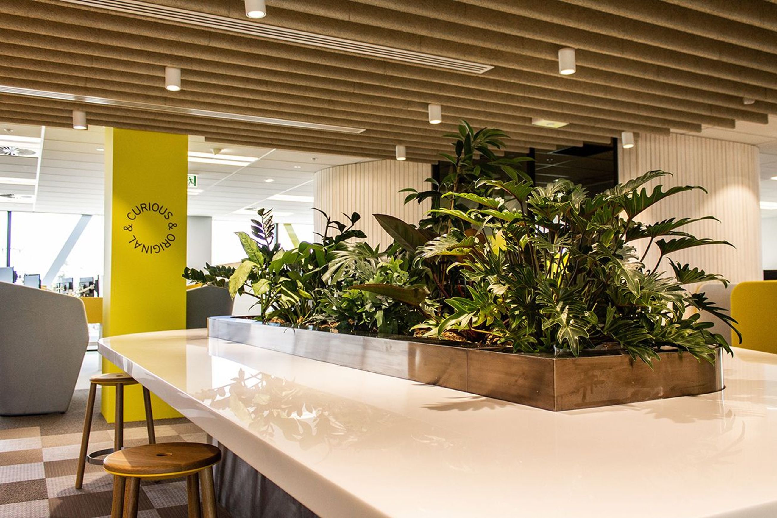 Customisable Indoor Garden Solutions | GreenAir