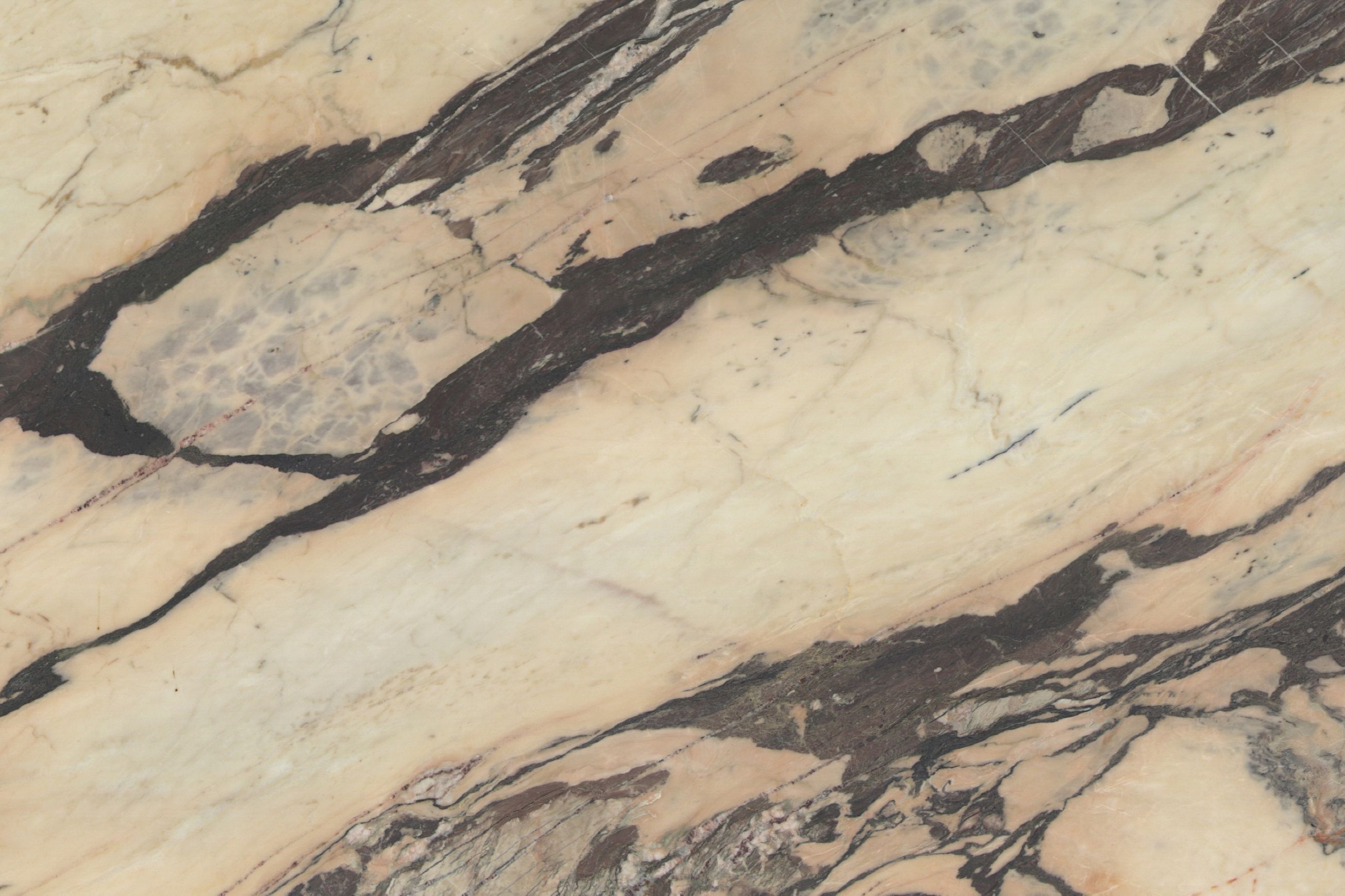 Arabescato Rosa | Marble