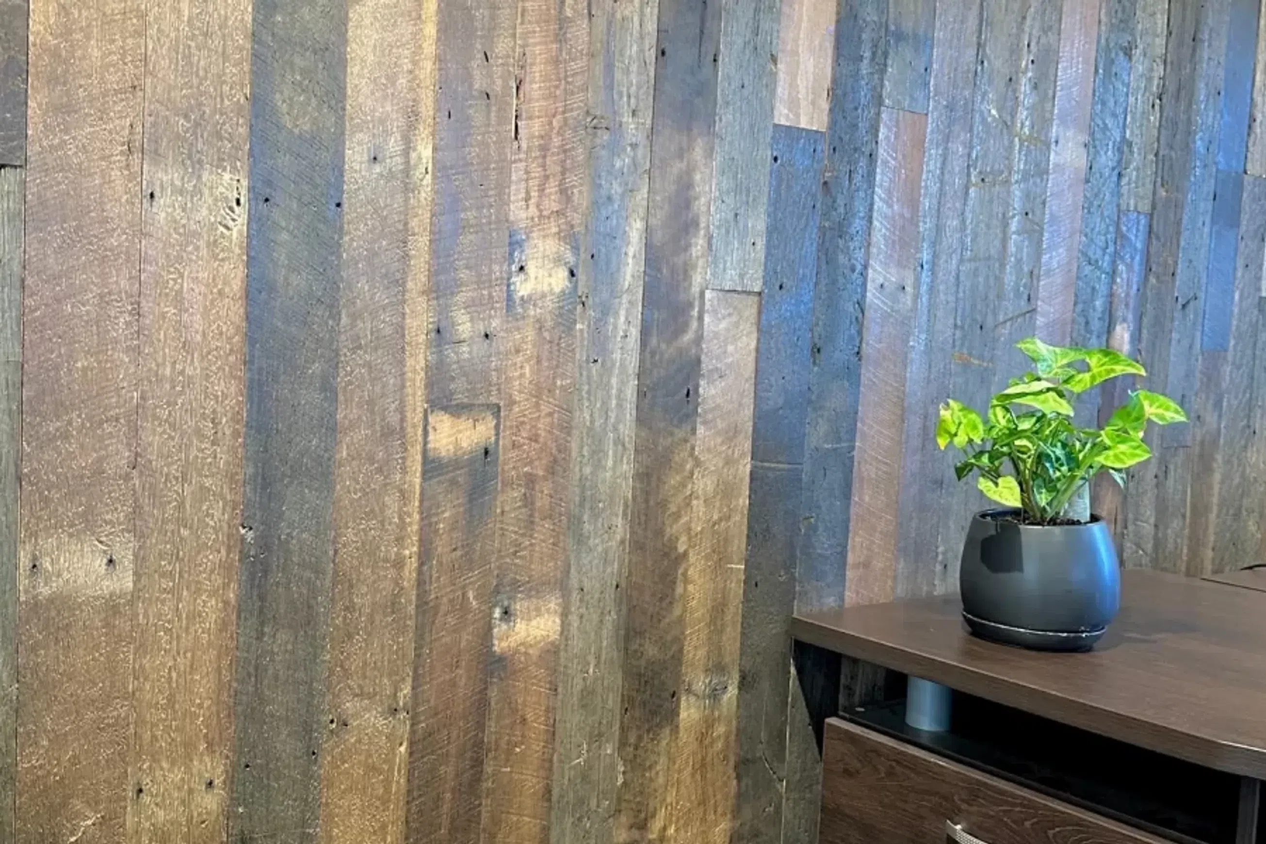 Rustic Wall T&G