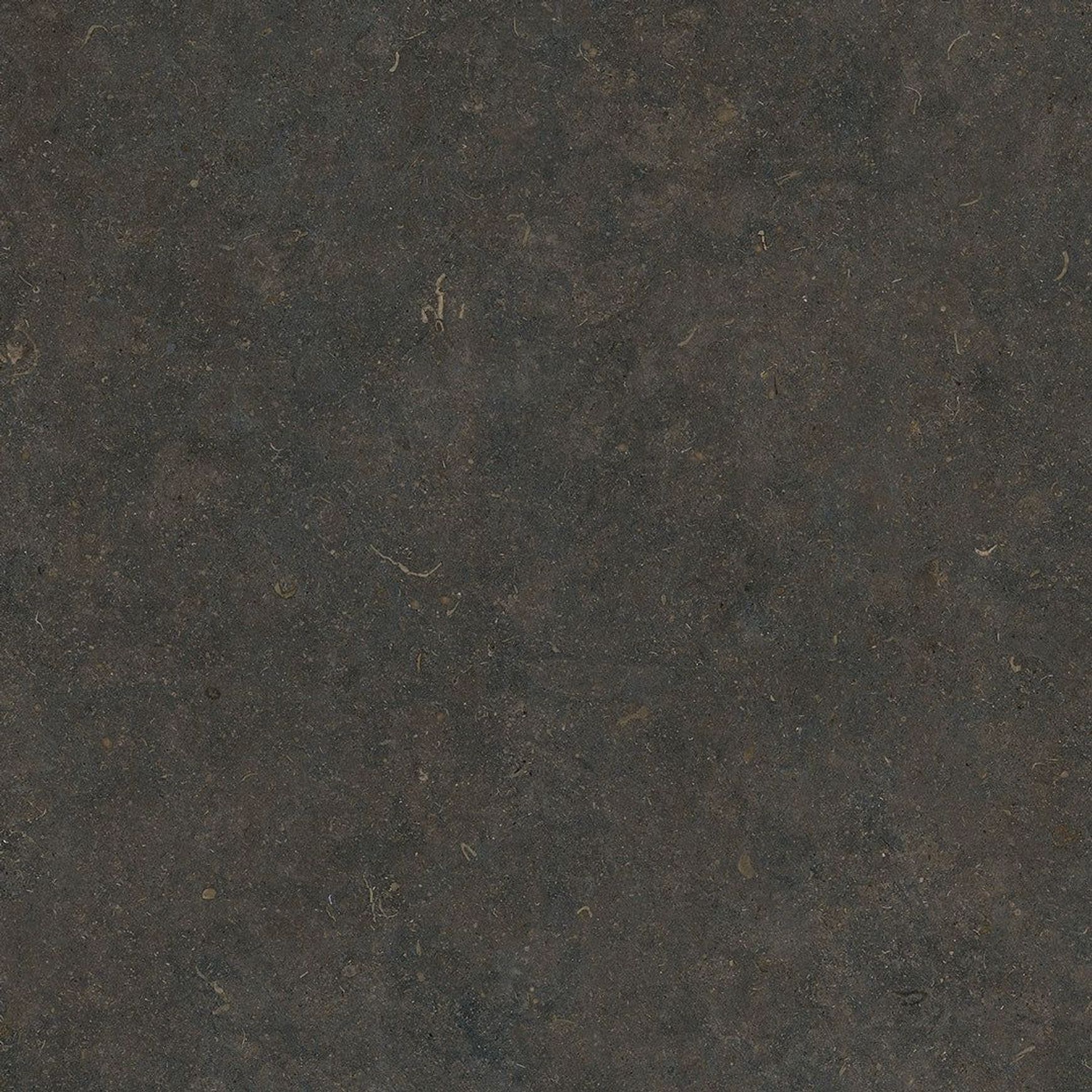 Orla Classic Horizon 120x270