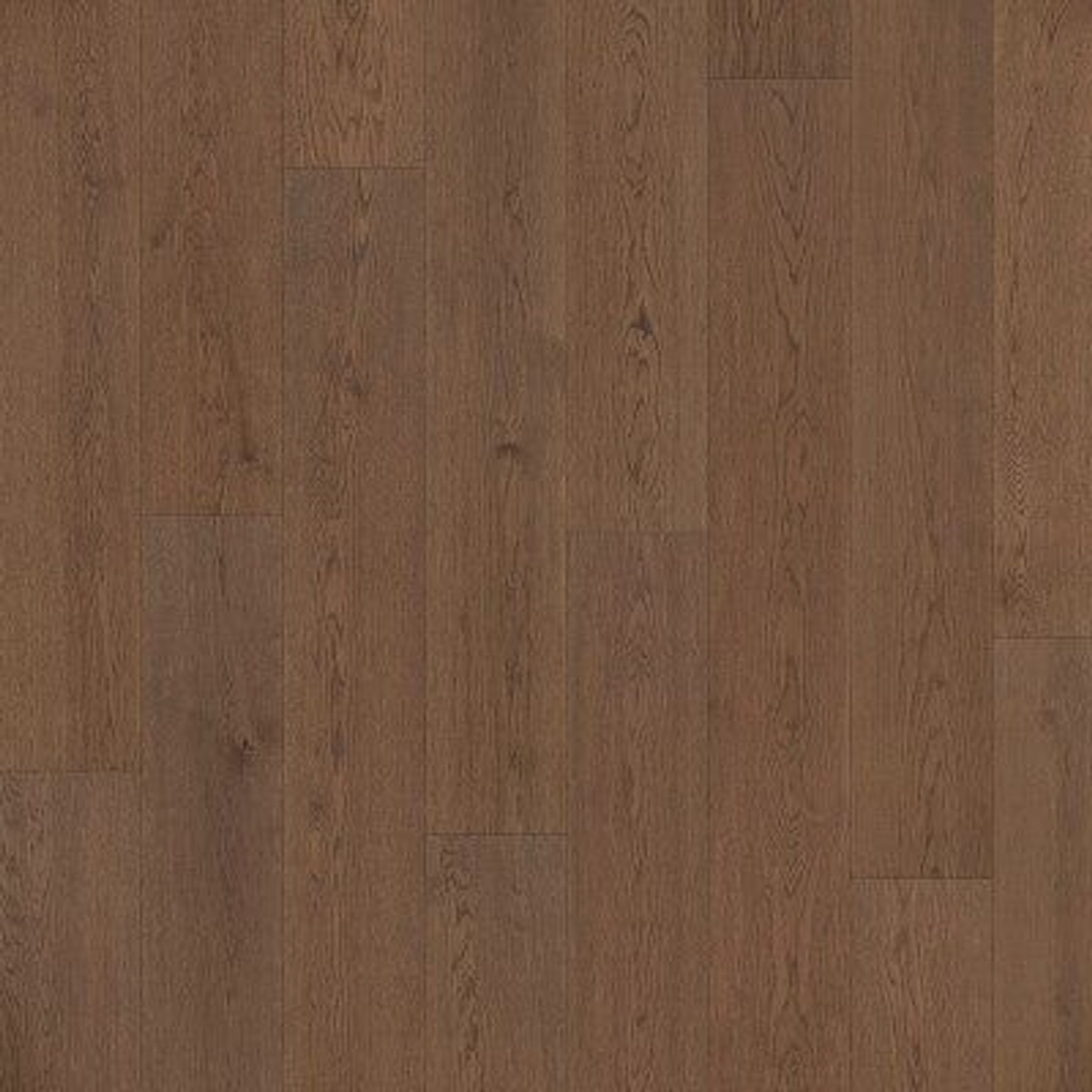 Parky Summit Hazel Oak | Rustic Grade