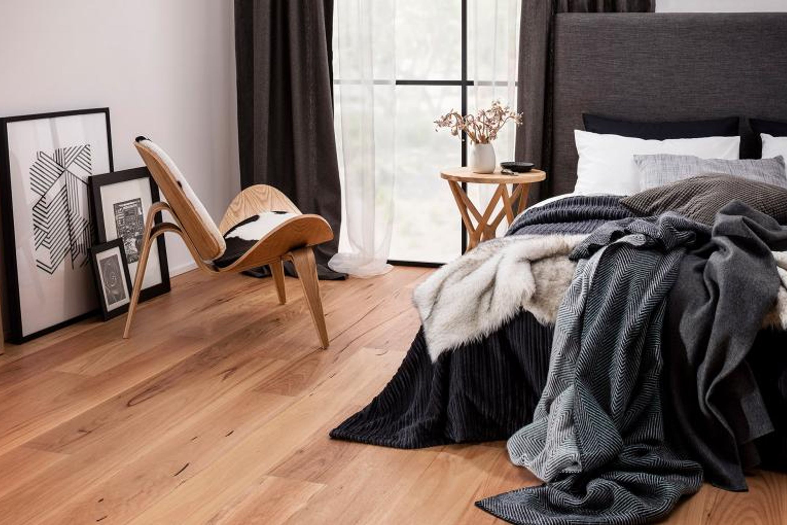 Spotted Gum