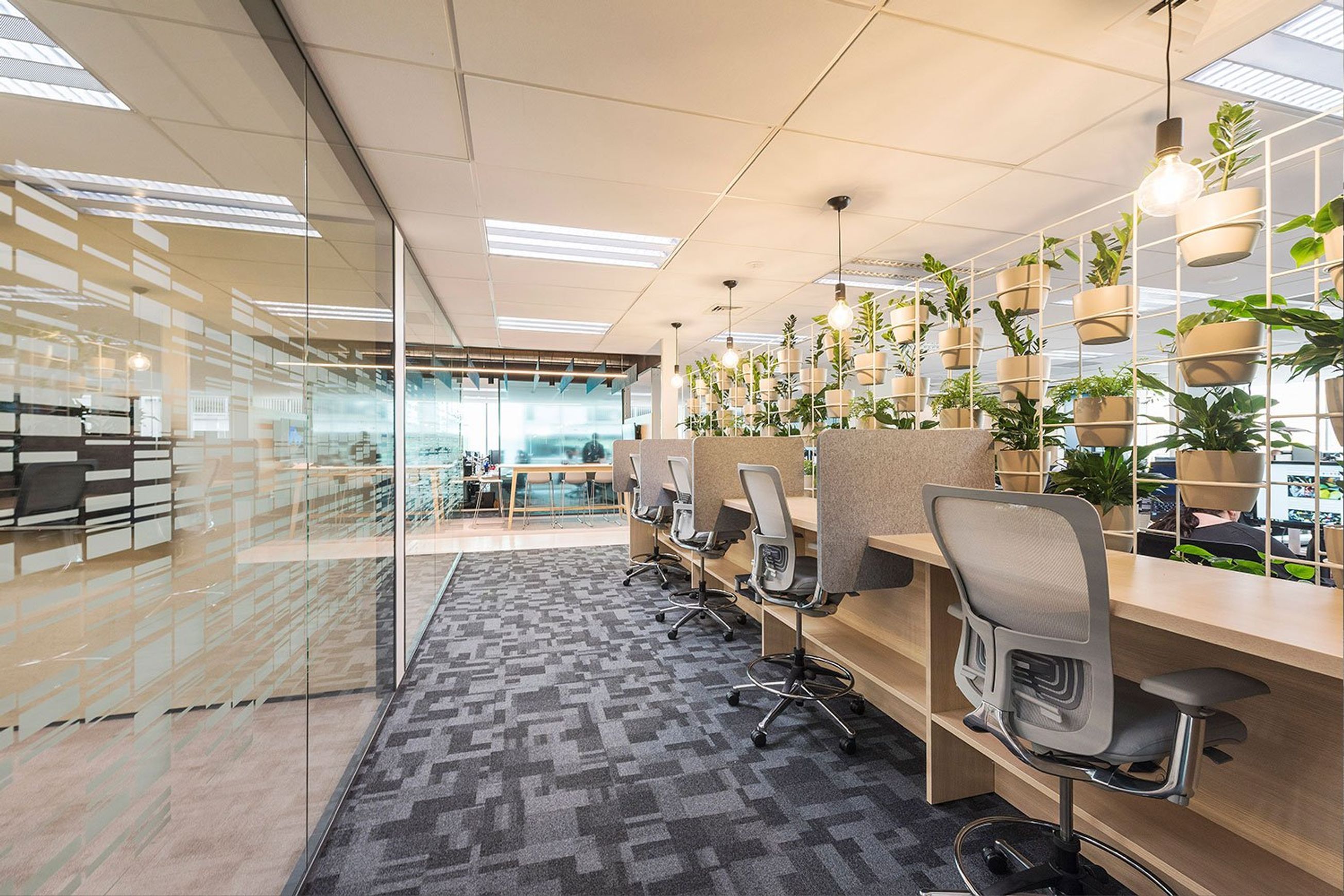 Cove Acoustic Office Desk Dividers