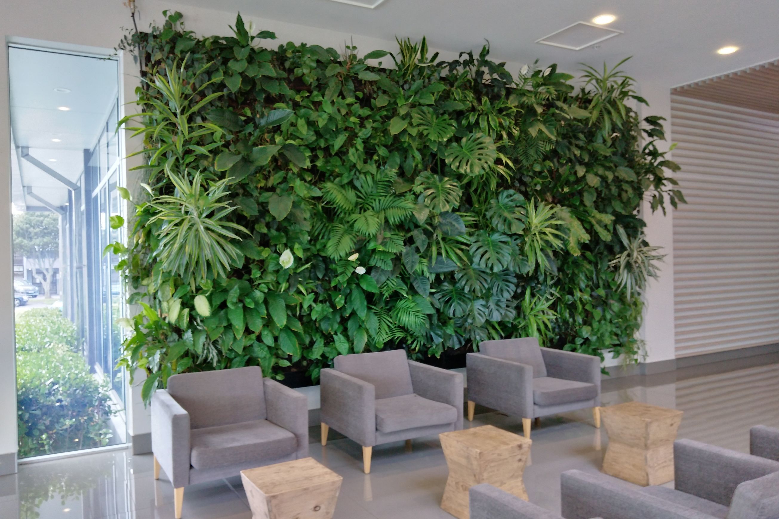Vertical Green Walls | Hire Plants