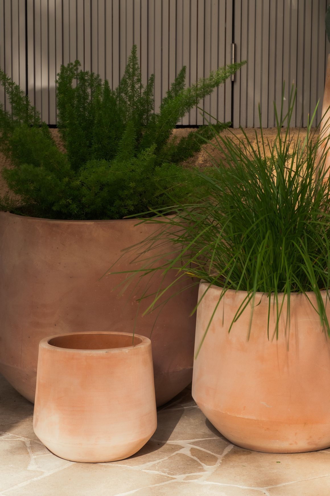 Terracotta Contour