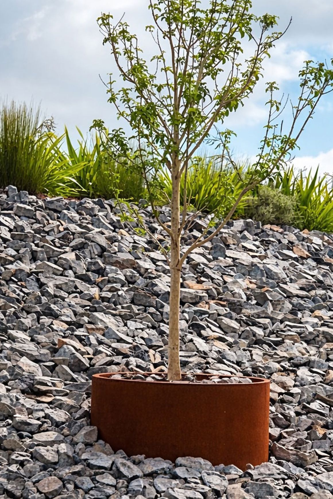Bottomless Cylinder Planter