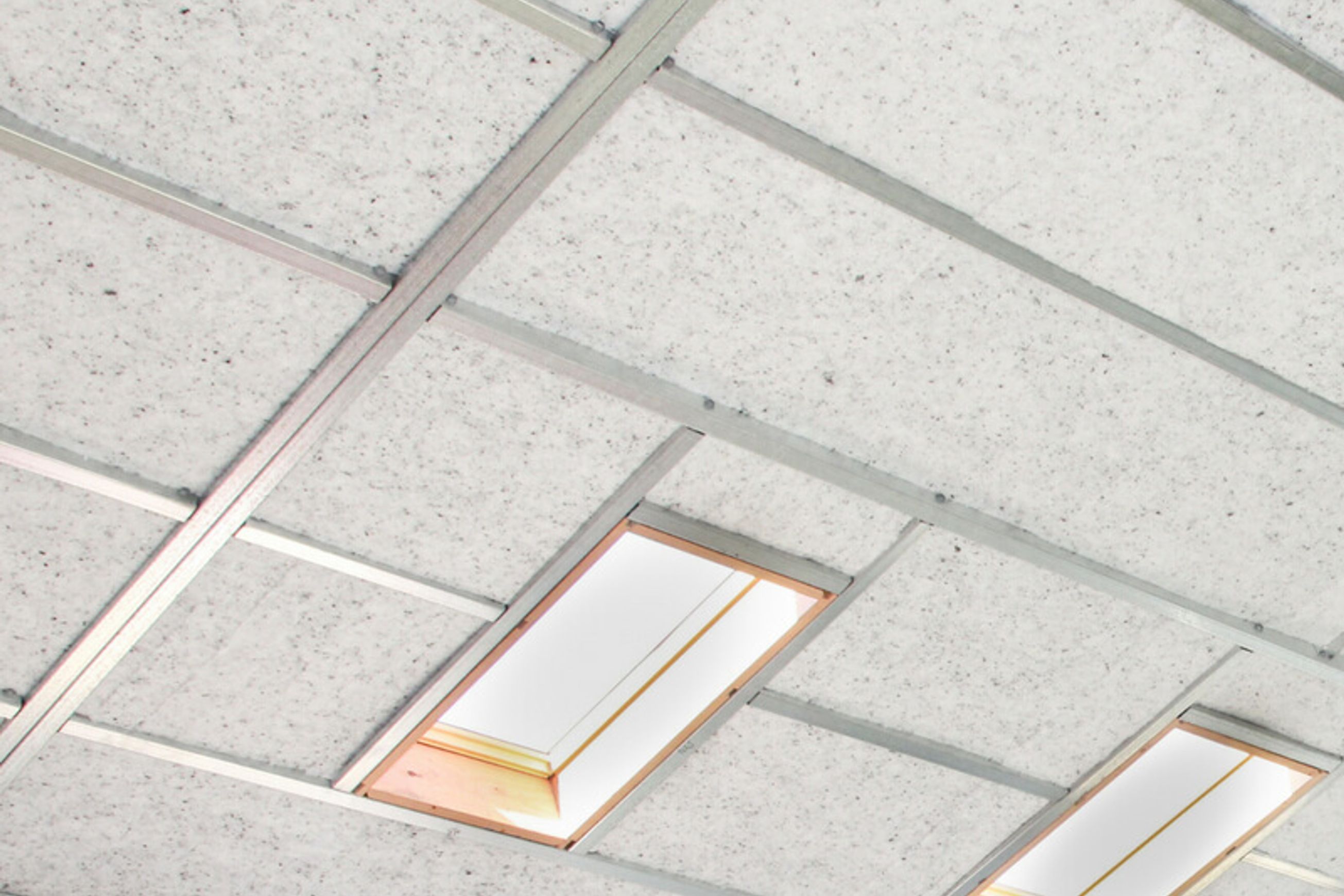 Mammoth™ Skillion Roof Insulation
