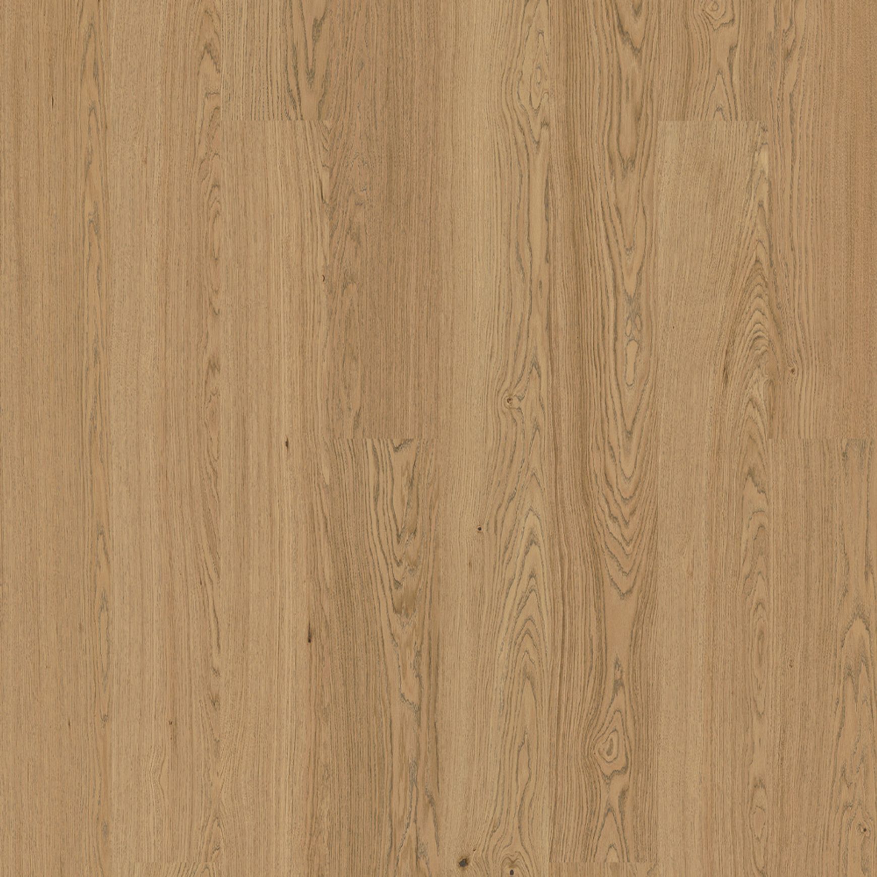 Bjelin XL Contrast Granite | Nature Grade