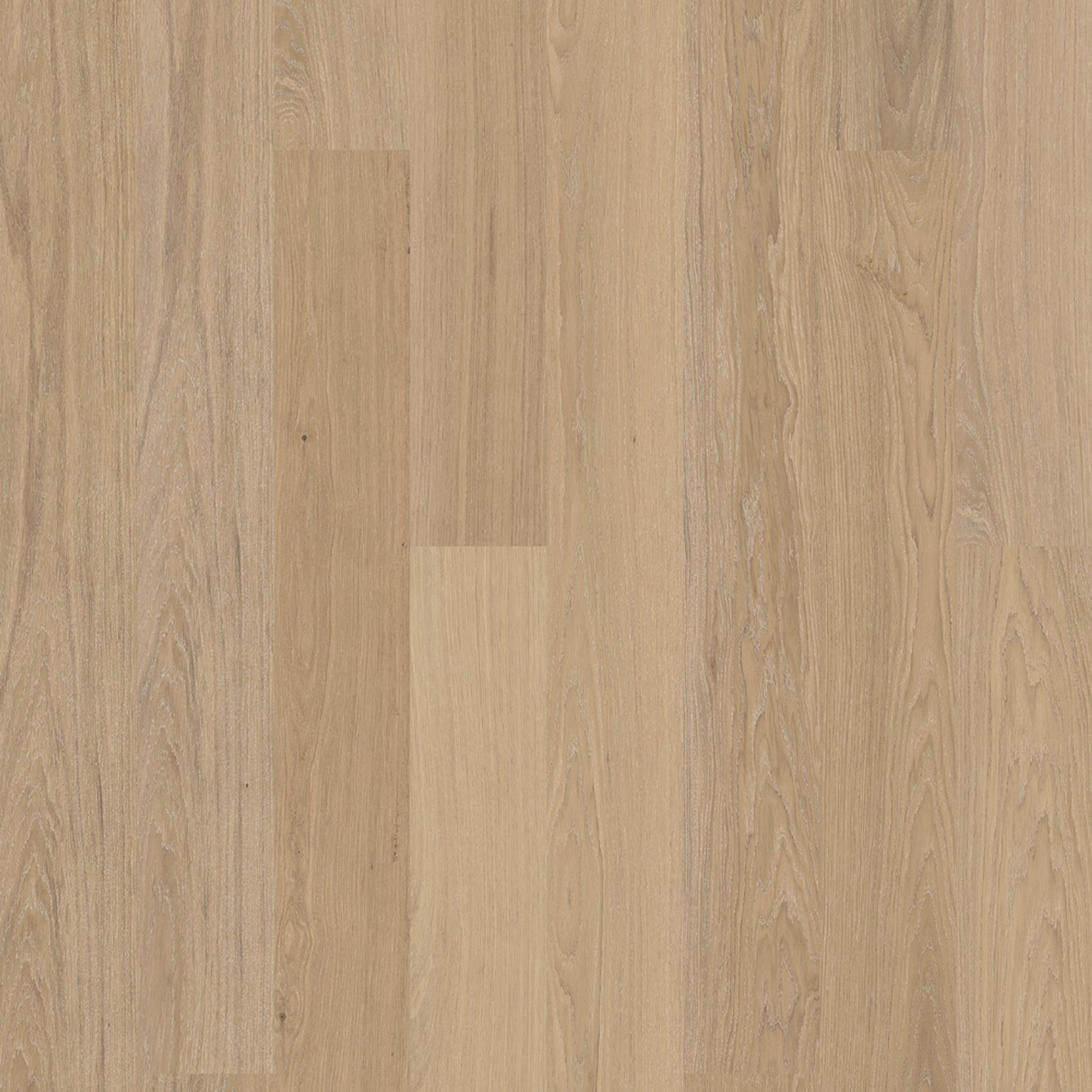 Bjelin XL Contrast Ivory | Nature Grade