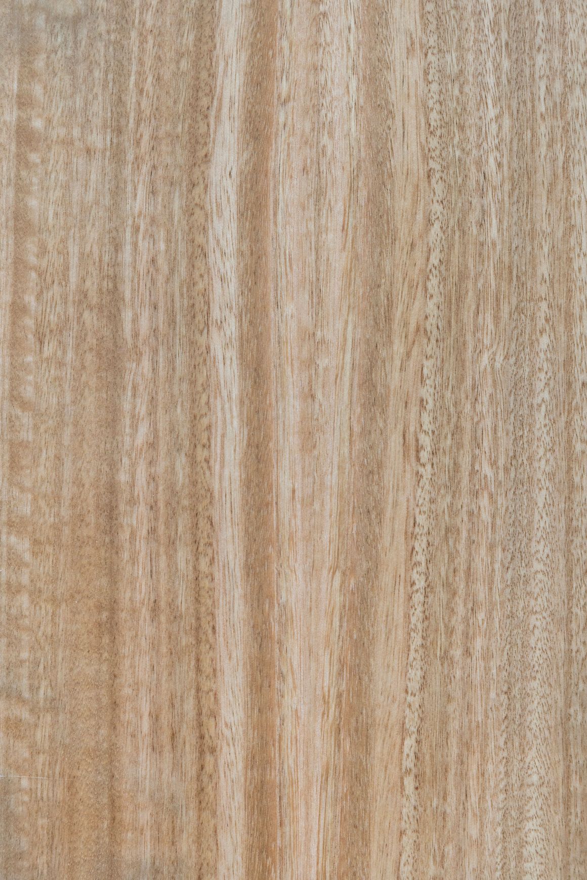 HW33001 Tasman PureVeneer 1mm Pre-finished Veneer Sheet