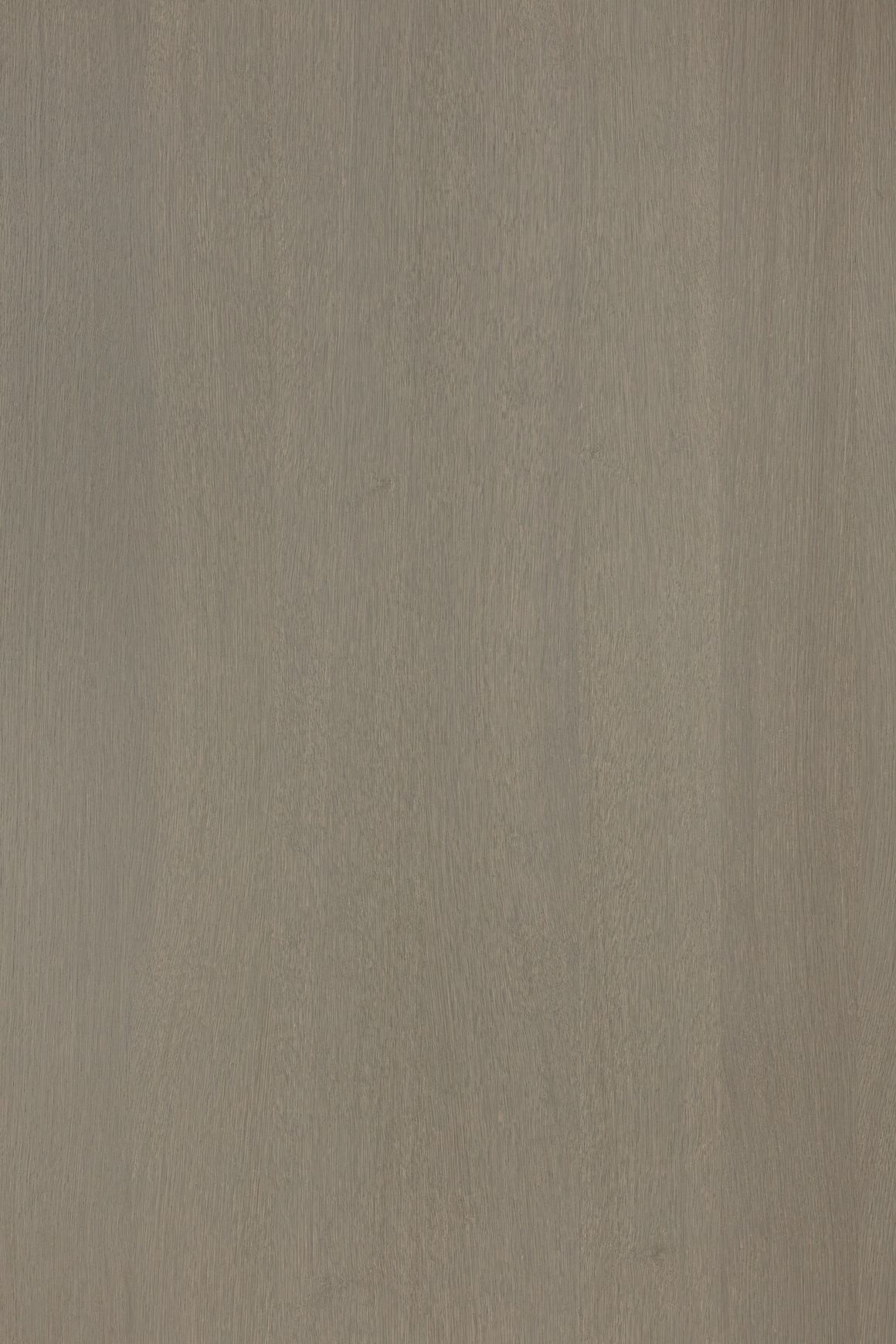 Alor Asta Oak 1F1B 2440mm Veneer Panel