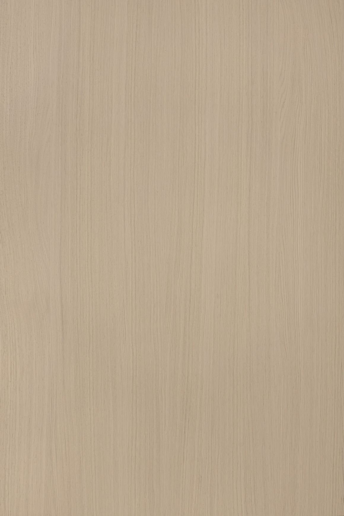 Alor Cove Oak 1F1B 3050mm Veneer Panel