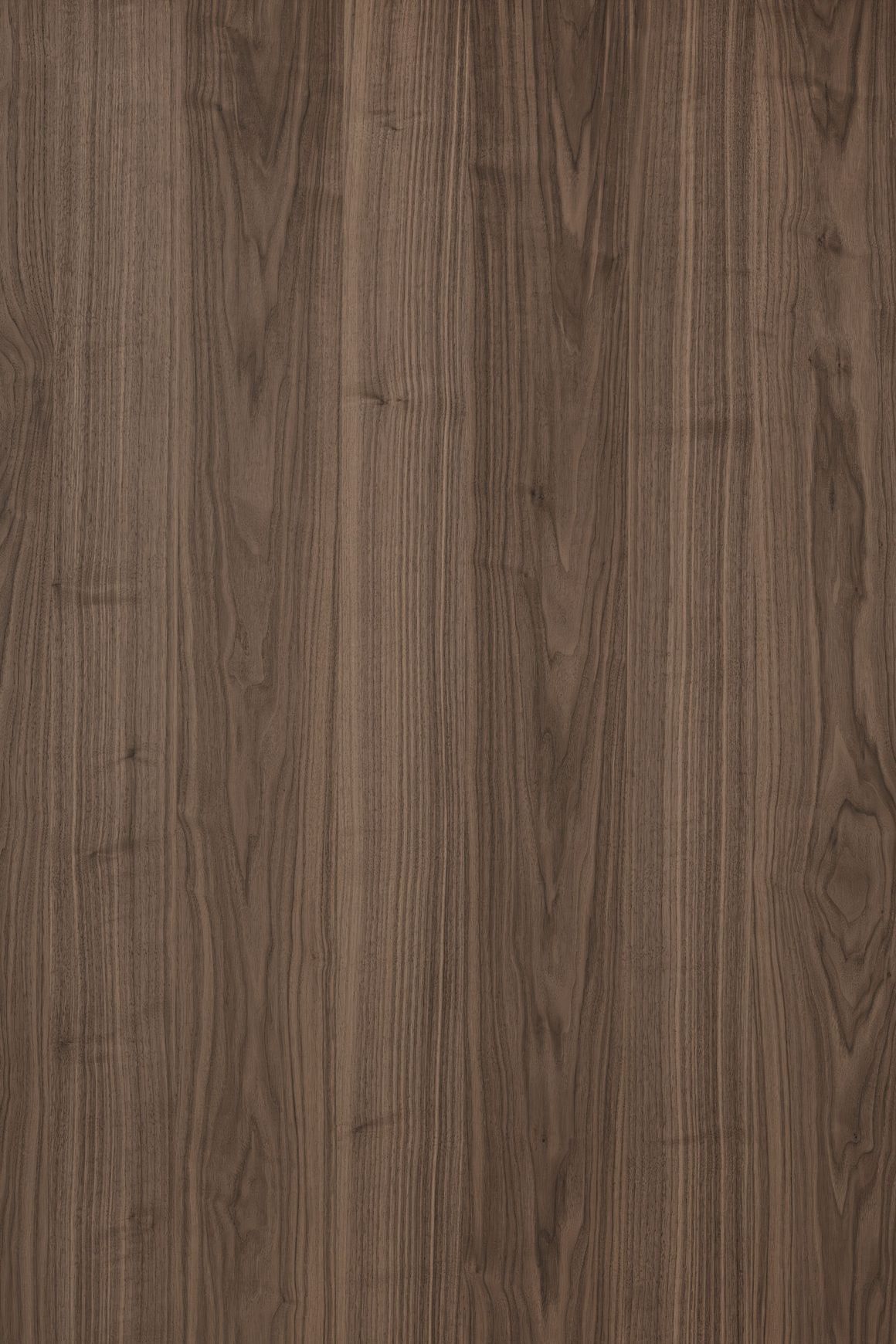 Alor Ember Walnut 1F1B 3050mm Veneer Panel