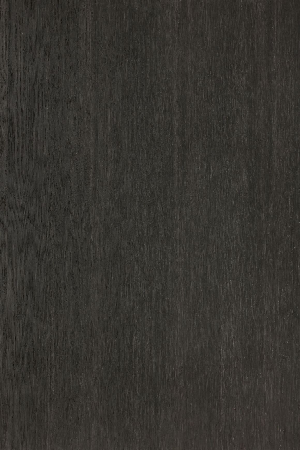 Alor Inca Oak 1F1B 2440mm Veneer Panel