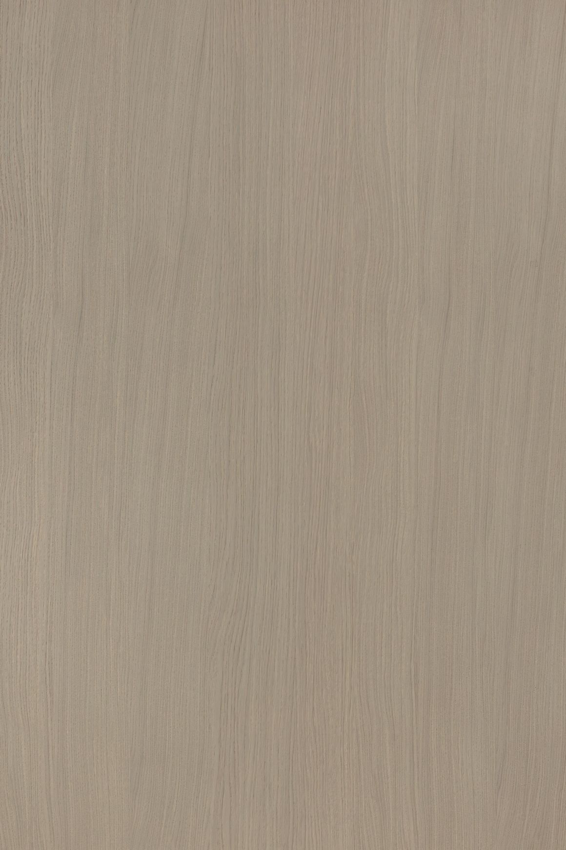 Alor Tusk Oak 1F1B 2440mm Veneer Panel