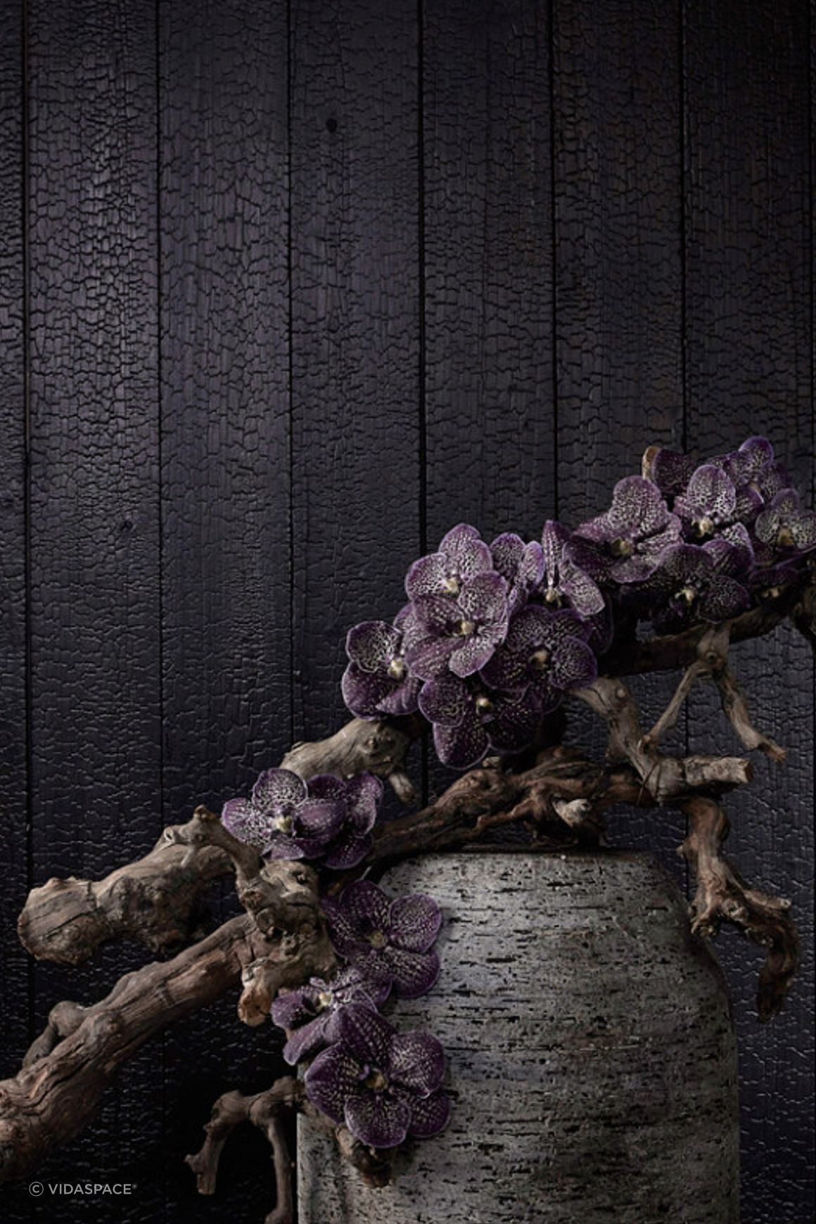 VidaSpace Bespoke Timber Walls