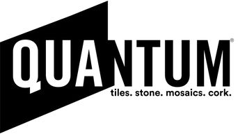 Quantum professional logo