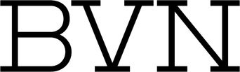 BVN professional logo