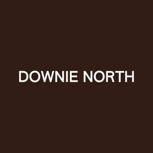 Downie North professional logo