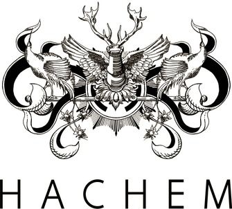 Hachem professional logo