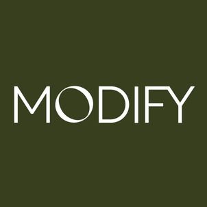Modify professional logo