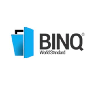 BINQ Windows professional logo
