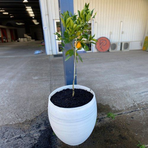 Planter Pot - 100% recycled HDPE plastic