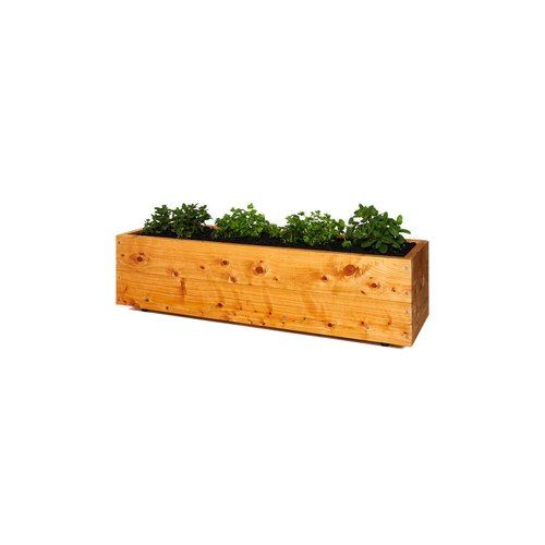 Cypress Herbivores Planter Box
