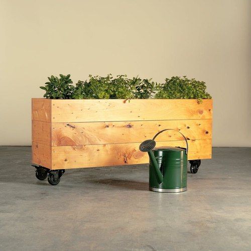 Herb Junior Planter Box On Wheels