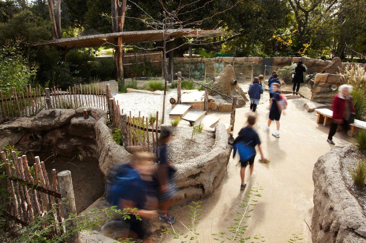 Melbourne Zoo 'Growing Wild' Precinct